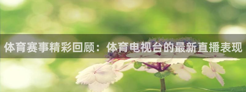 咪咕视频体育直播收费吗：体育赛事精彩回顾：体育电视台的最新直播表现