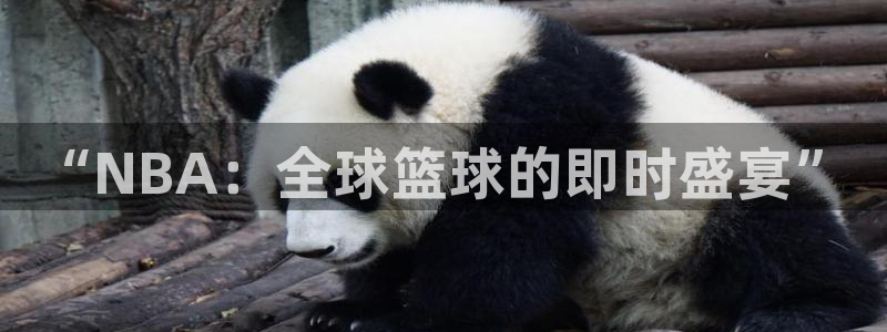 咪咕视频体育直播免费观看：“NBA：全球篮球的即时盛宴”