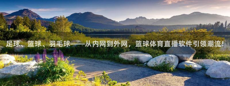咪咕足球直播：足球、篮球、羽毛球——从内网到外网，篮球体育直播软件引领潮流!