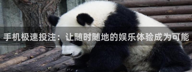咪咕体育官网：手机极速投注：让随时随地的娱乐体验成为可能
