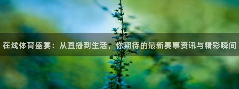 咪咕视频安装下载：在线体育盛宴：从直播到生活，你期待的最新赛事资讯与精彩瞬间