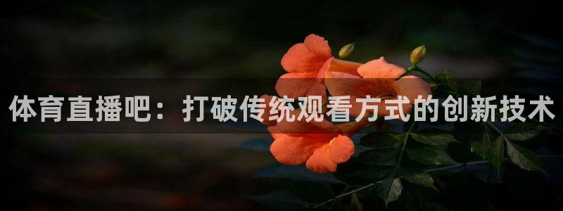 咪咕体育录像回放：体育直播吧：打破传统观看方式的创新技术