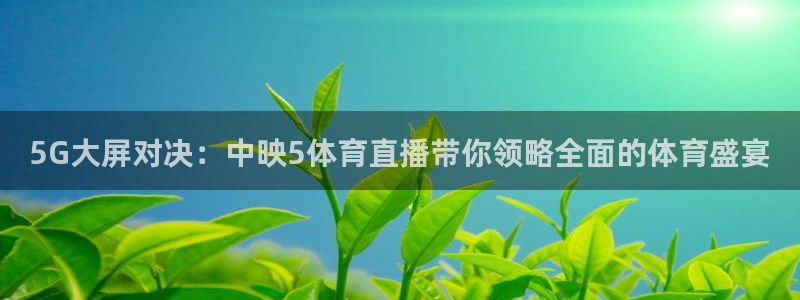 咪咕足球直播：5G大屏对决：中映5体育直播带你领略全面的体育盛宴